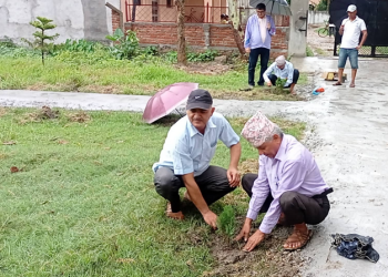 वातावरणलाई प्रदुषणमुक्त बनाउन वृक्षारोपण गर्नुपर्नेमा मन्त्री हमालको जोड