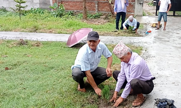 वातावरणलाई प्रदुषणमुक्त बनाउन वृक्षारोपण गर्नुपर्नेमा मन्त्री हमालको जोड