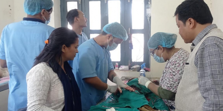 नेपालगञ्जमा सामुदायिक कुकुरहरुको बन्ध्याकरण शिविर संचालन