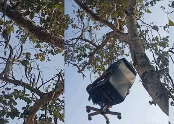 विरोधको शैलीः क्याम्पस प्रमुखको कुर्सी रुखमा झुण्ड्याइयो