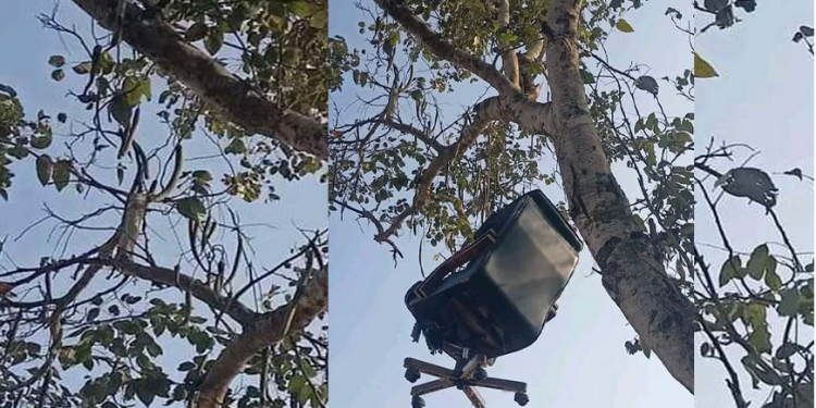 विरोधको शैलीः क्याम्पस प्रमुखको कुर्सी रुखमा झुण्ड्याइयो