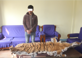 नेपालगञ्जमा आज एकैदिन पाटेबाघको छाला र ब्राउनसुगरसहित तीन जना पक्राउ