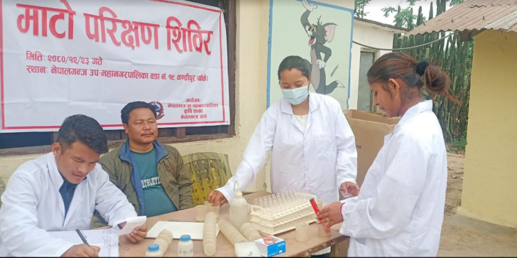 नेपालगञ्जमा माटो परीक्षण शिविर, वडा नं. १९ का ८० कृषकले माटो परीक्षण गराए