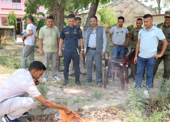 बाँकेमा विभिन्न मितिमा बरामद गरिएका लागु औषध प्रहरीद्धारा नष्ट