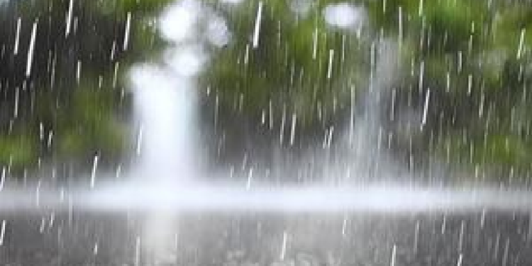 नेपालमा यस वर्ष सरदर मितिभन्दा तीन दिनअघि नै मनसुन भित्रियो