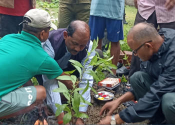 लुम्बिनी प्रदेशमा वृक्षारोपण अभियान, मन्त्री कुर्मीद्धारा बाँकेवाट अभियानको शुभारम्भ