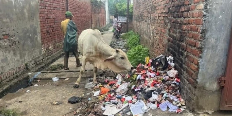 जथाभावी फोहर गर्ने नेपालगञ्ज वडा नं. ९ का हरिदेवबक्स कुर्मीलाई जरीवाना